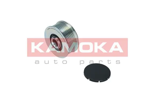 Alternator Freewheel Clutch