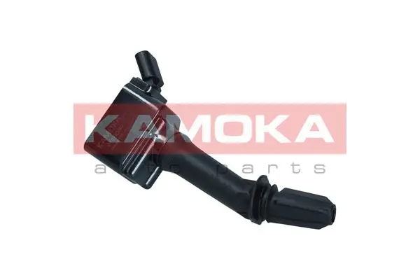 Ignition Coil (7120060)