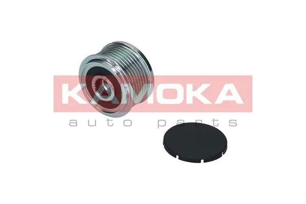 Alternator Freewheel Clutch