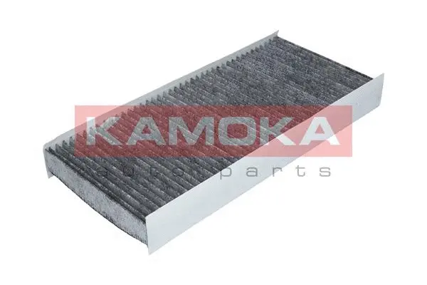 Filter, cabin air (F507801)