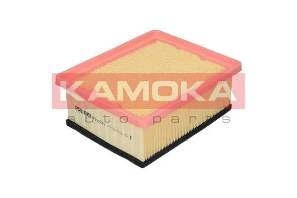Air Filter (F210201)