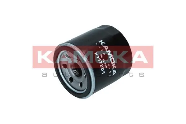 Oil Filter (F117201)