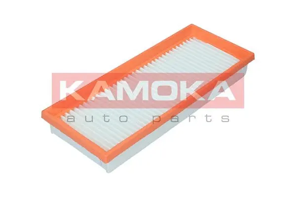 Air Filter (F253901)
