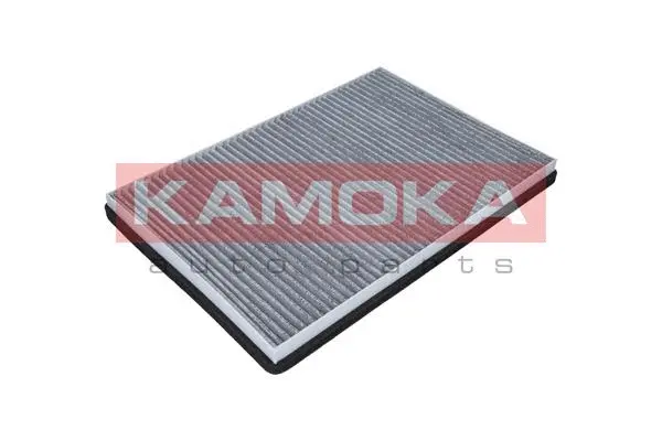 Filter, cabin air (F501501)
