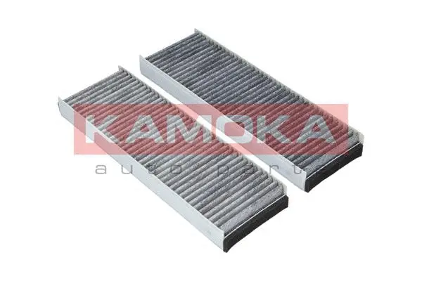 Filter, cabin air (F505501)