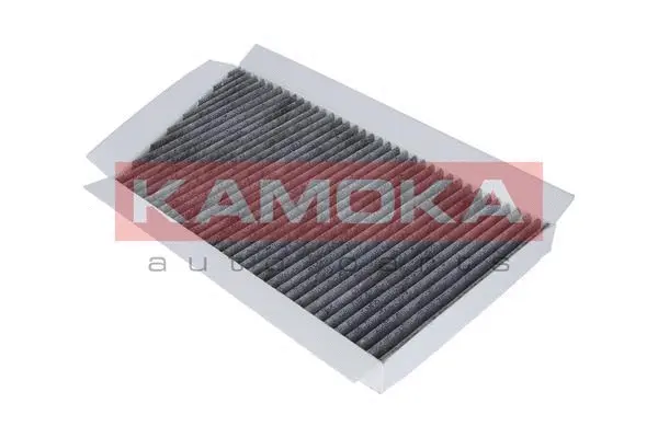 Filter, cabin air (F502601)