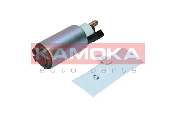 Fuel Pump (8410013)