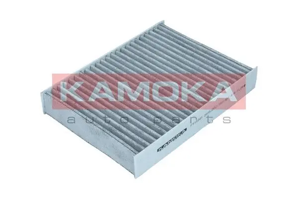 Filter, cabin air (F515301)