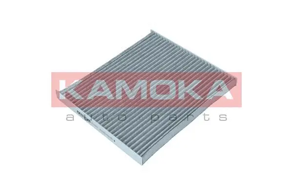 Filter, cabin air (F511401)