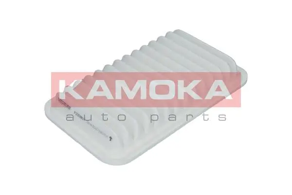 Air Filter (F232801)
