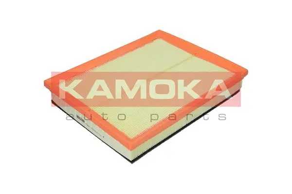Air Filter (F205201)