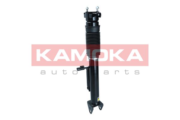 Air Suspension Strut (2070018)