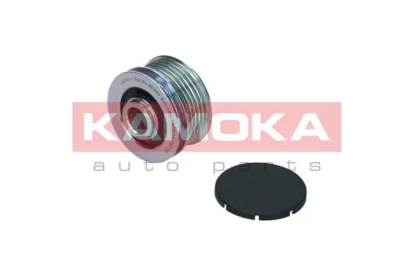 Alternator Freewheel Clutch (RC087)