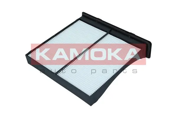 Filter, cabin air (F418201)
