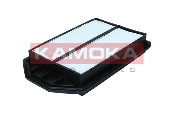 Air Filter (F256701)