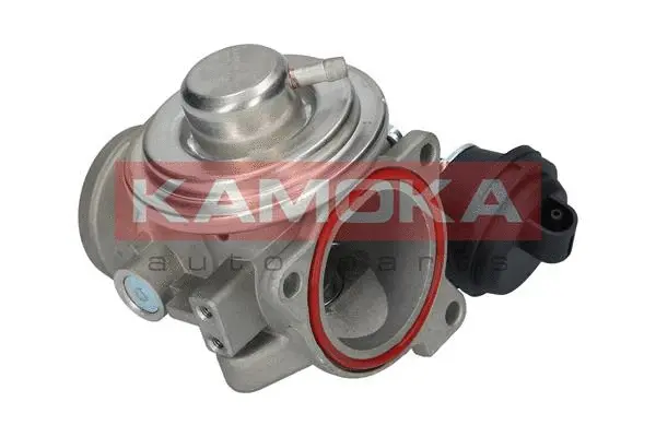 EGR Valve (19024)