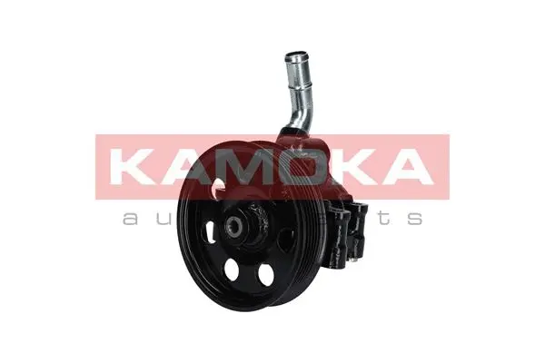 Hydraulic Pump, steering (PP095)