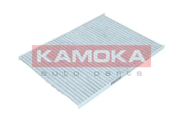Filter, cabin air (F520001)