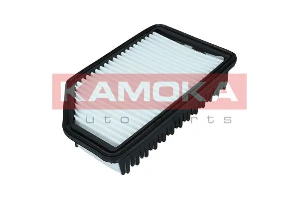 Air Filter (F247301)
