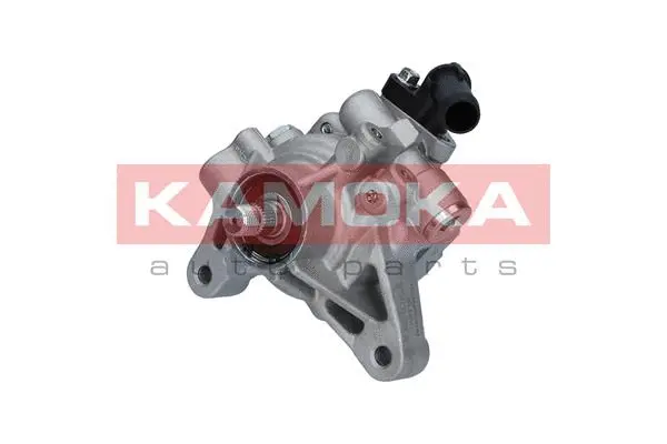 Hydraulic Pump, steering (PP118)