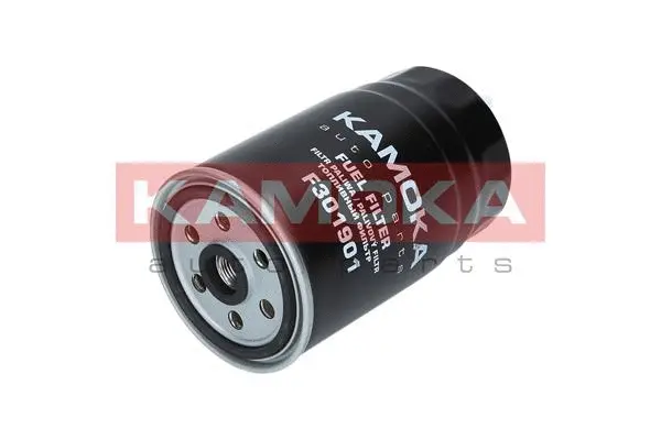 Fuel Filter (F301901)