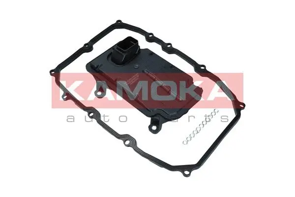 Hydraulic Filter Kit, automatic transmission (F603601)