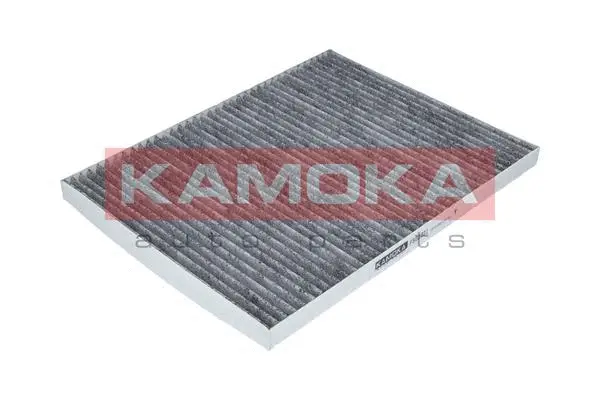 Filter, cabin air (F500301)
