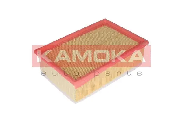 Air Filter (F228401)