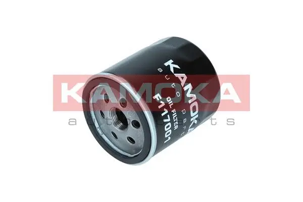 Oil Filter (F117001)