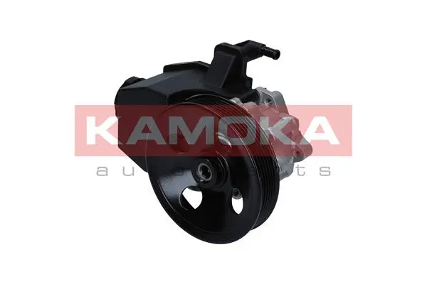 Hydraulic Pump, steering (PP128)
