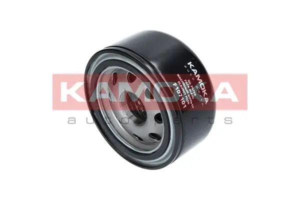 Oil Filter (F107101)