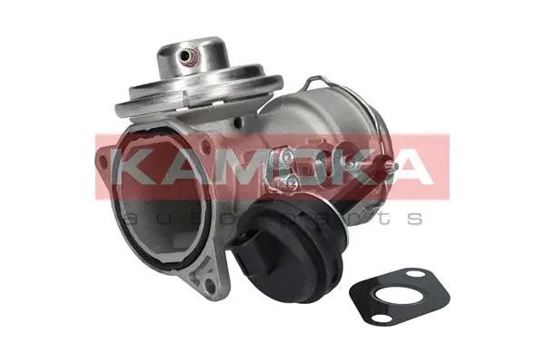 EGR Valve (19033)