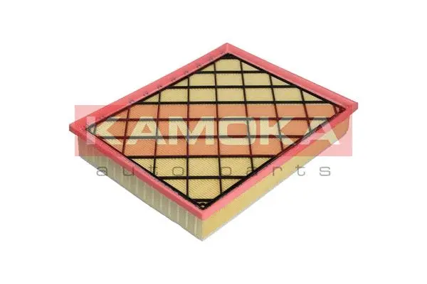 Air Filter (F218901)