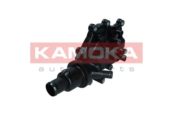 Thermostat, coolant