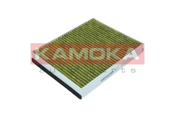 Filter, cabin air (6080071)