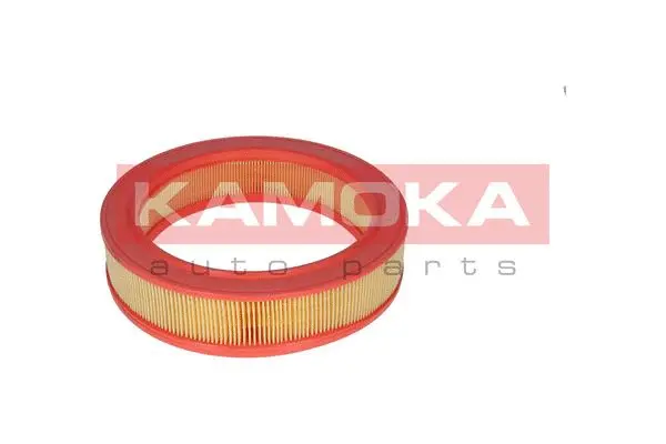 Air Filter (F207501)