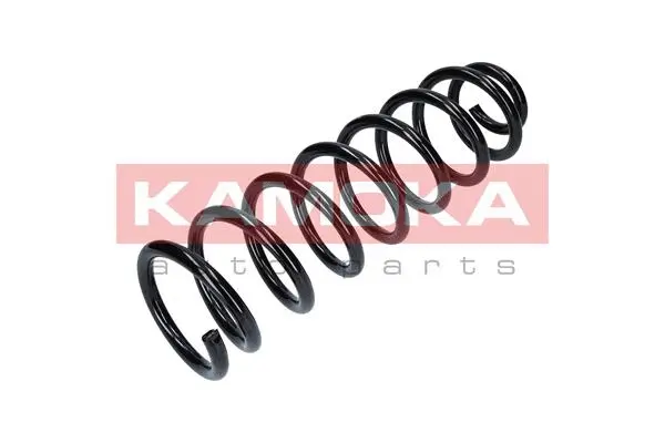 Suspension Spring (2110186)