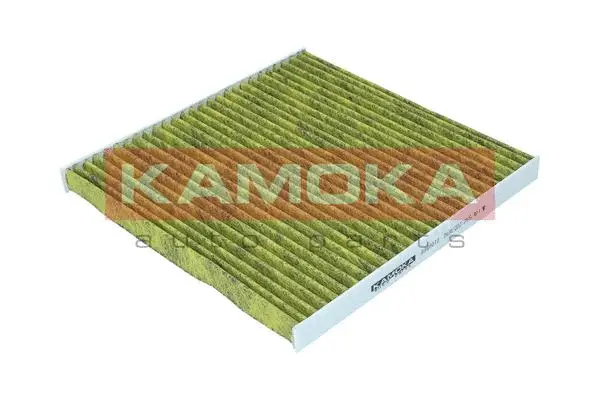 Filter, cabin air (6080010)