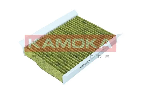 Filter, cabin air (6080100)