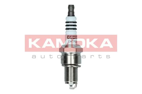 Spark Plug (7090519)