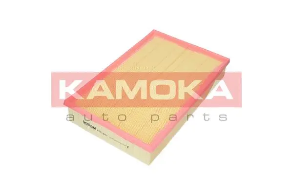 Air Filter (F231901)