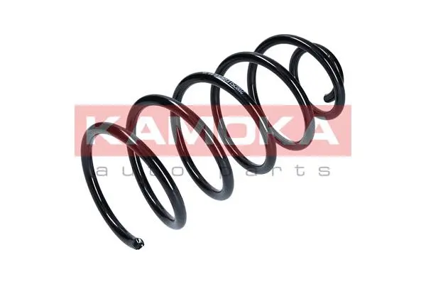 Suspension Spring (2110251)