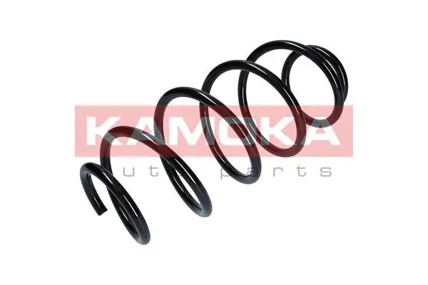 Suspension Spring (2110163)