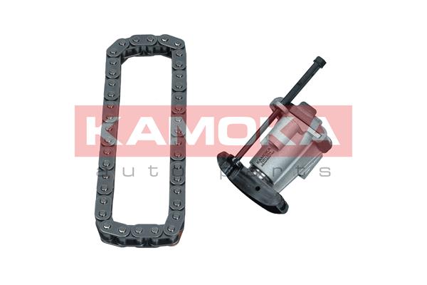 Timing Chain Kit (7001554)