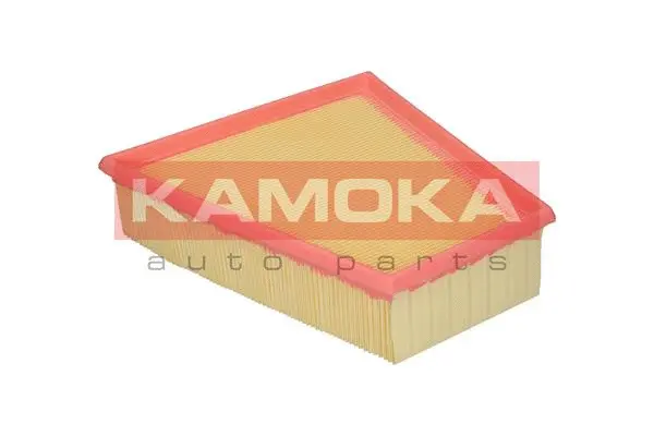 Air Filter (F202001)