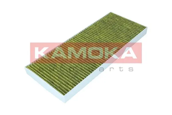 Filter, cabin air (6080022)
