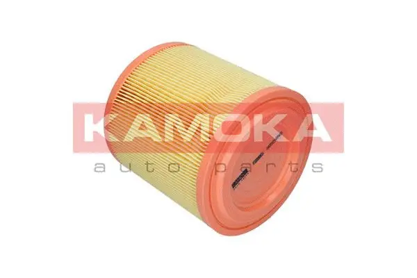 Air Filter (F253301)