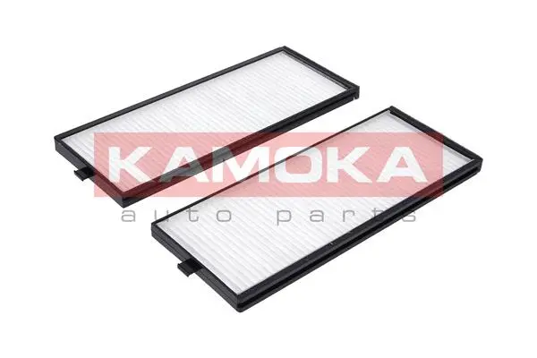 Filter, cabin air (F411201)