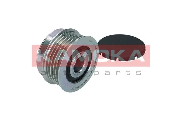 Alternator Freewheel Clutch