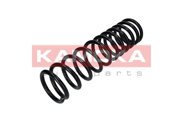Suspension Spring (2120153)